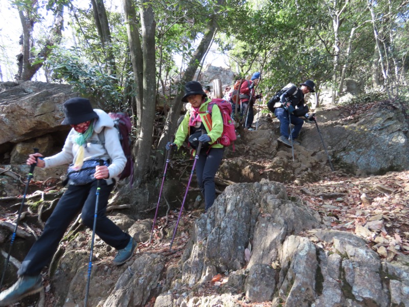 日和田山、物見山